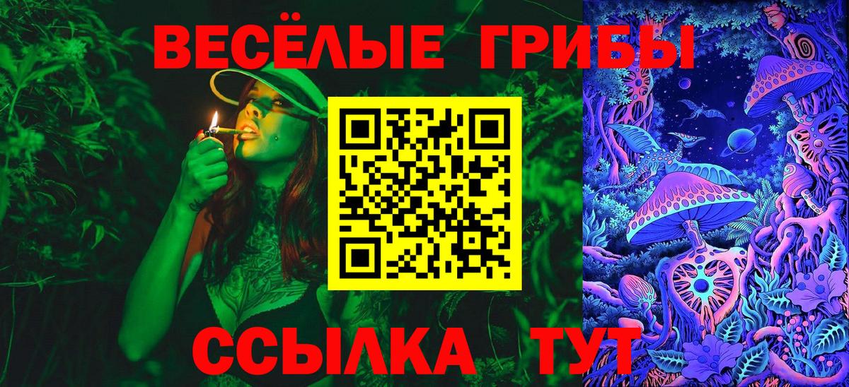 Хасавюрт  Галлюциногенные грибы Psilocybine cubensis  Вход с VPN  Галлюциногенные грибы ЛСД 